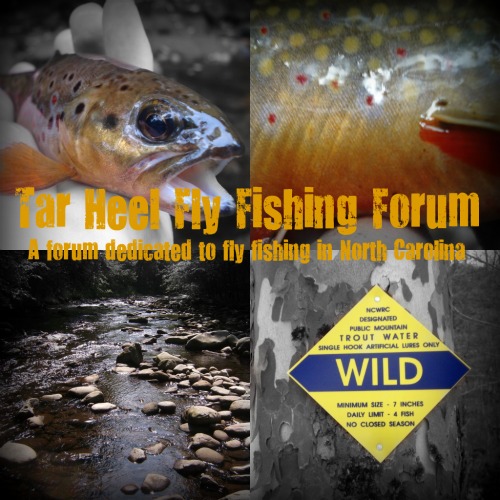 Fly fishing forums